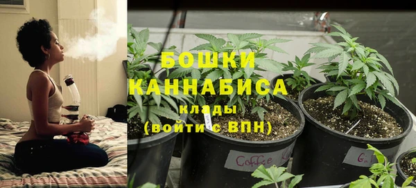 амф Михайловск